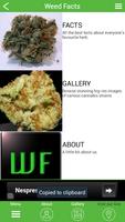 Weed Facts