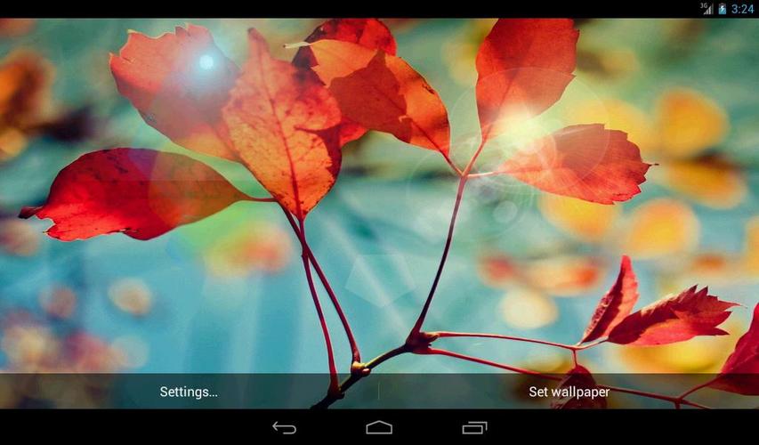 S4 Red Leaf Live Wallpaper