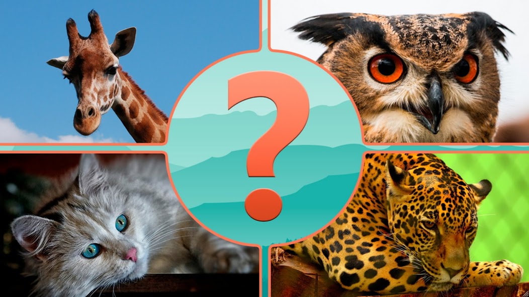 Guess the Animal