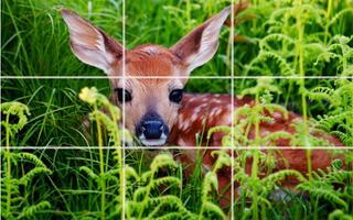 Puzzle - Wild animals