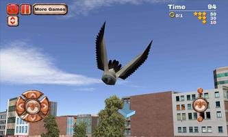 City Bird Fly Simulator 2015