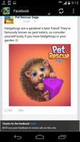 New Saga Guide of Pet Rescue