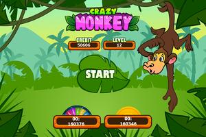 Crazy Monkey Slots