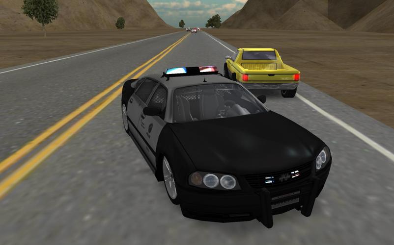 Police Highway Driver