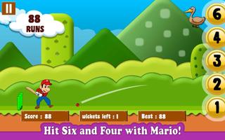 Mario Cricket World