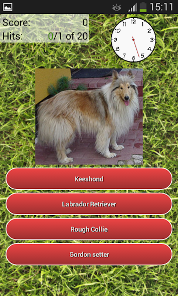 Dog Breeds Quiz