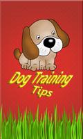 Dog Training Tips 2015