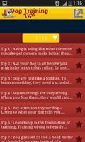 Dog Training Tips 2015