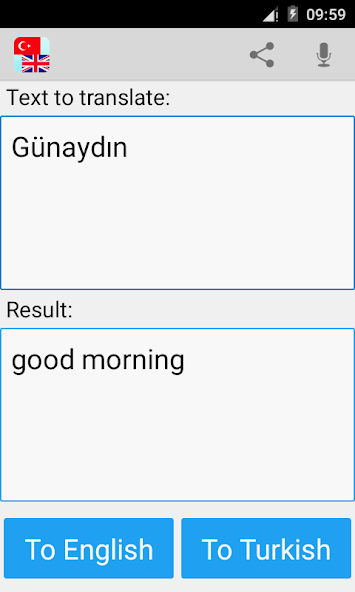 Turkish English Translator