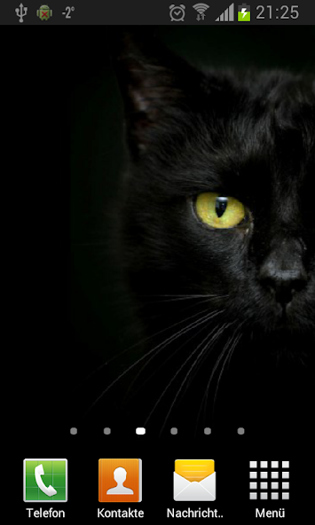 Black cats Live Wallpaper