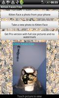 Kitten Faces Free