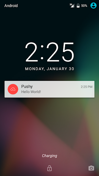 Pushy Demo