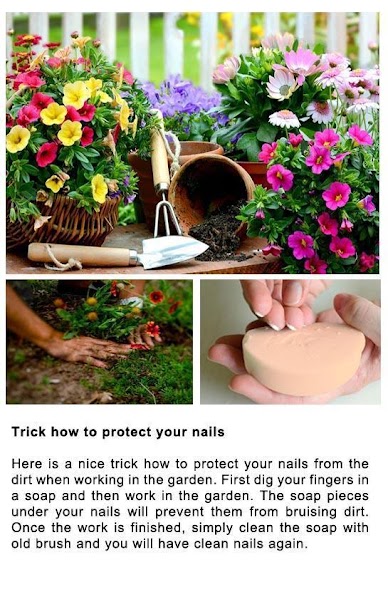 DIY Gardening Tips