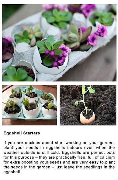 DIY Gardening Tips