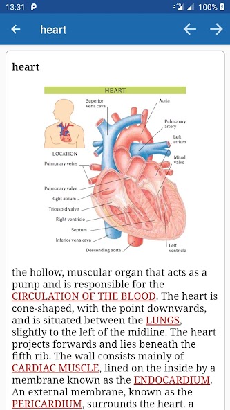 mediLexicon