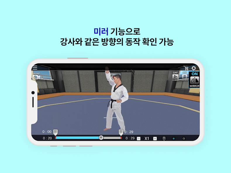 Taekwondo Poomsae Master