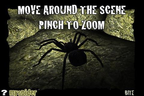 Spider Aquarium in 3D