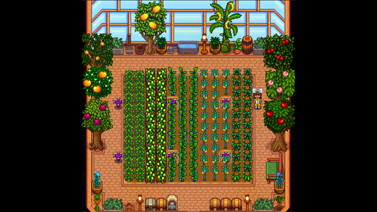 Berapa banyak tanaman yang bisa dipegang rumah kaca di lembah Stardew?