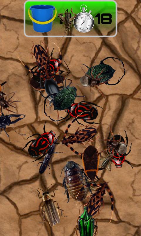 Bug Splat