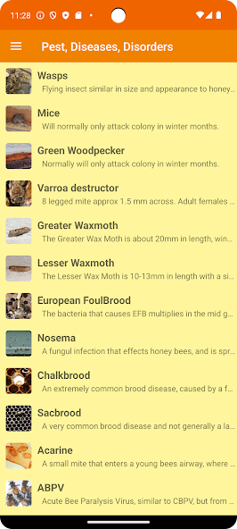 BeeKeeperLite