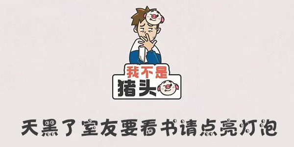 我不是豬頭天黑了室友要看書請點亮燈泡介紹