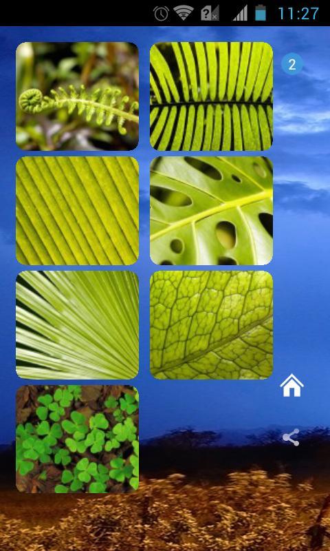 Green Leaves Theme