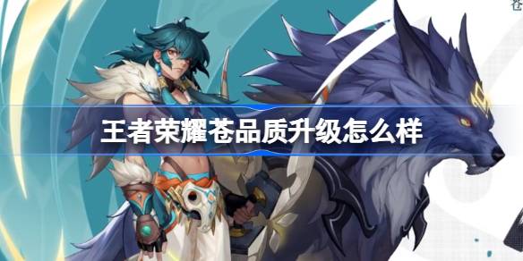 王者荣耀苍品质升级怎么样