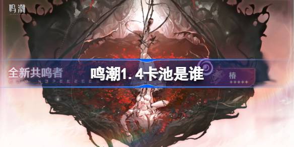 Mingchao 1.4 카드 수영장은 누구입니까?
