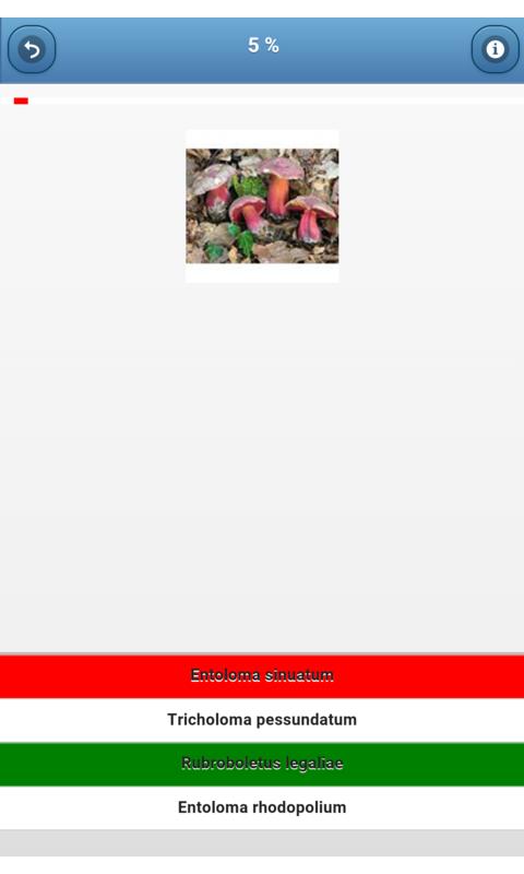 Mushrooms - quiz