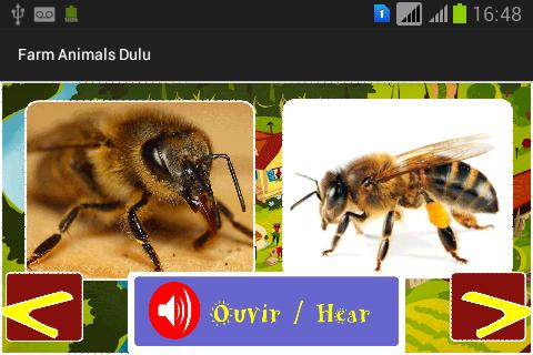Farm Animals Dulu