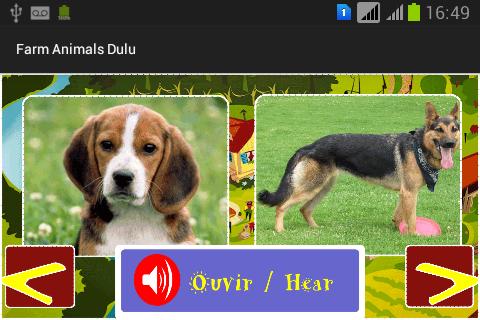 Farm Animals Dulu