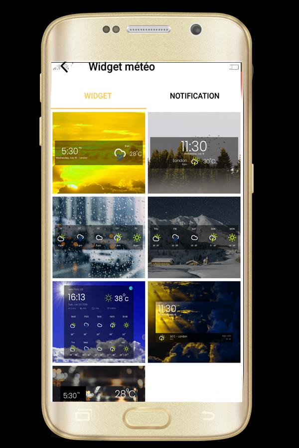 weather pro 2020