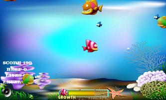 Feeding frenzy - Fish