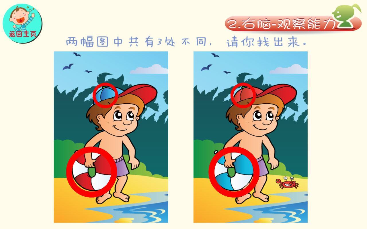 Left Right Brain Training (TC)