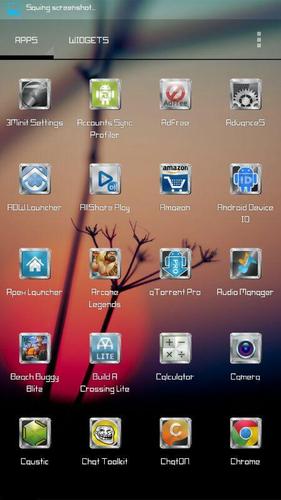 ICON PACK -  Metallic border