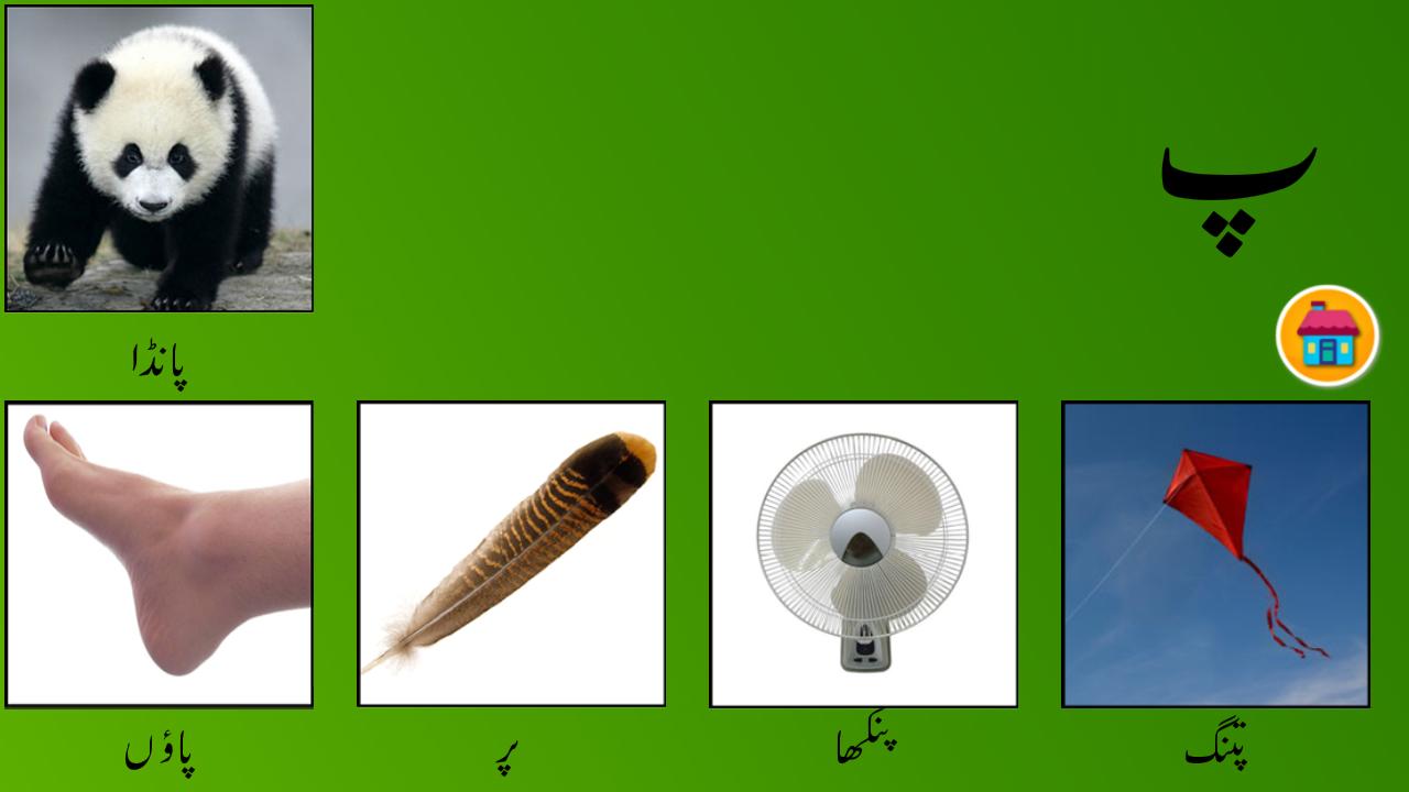 My first book of Urdu Alif Bay Pay Tay