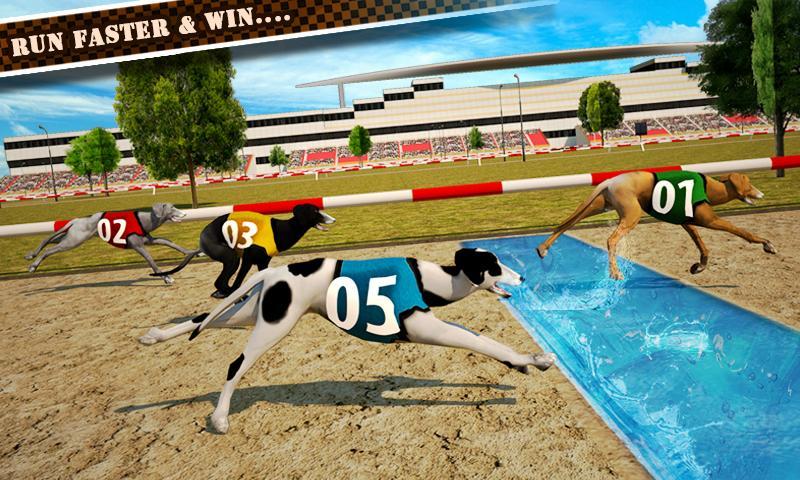 Dog Race & Stunts 2016