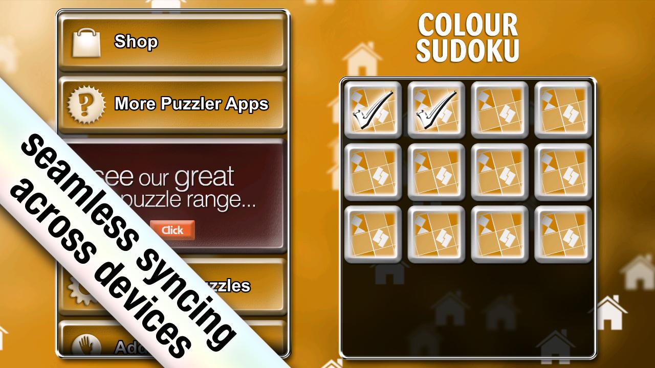 Colour Sudoku Puzzler