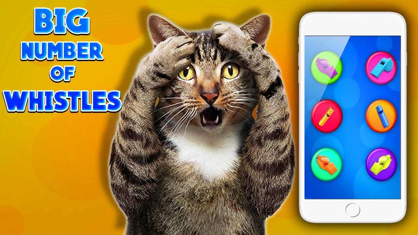 Ultrasound Cat Whistle