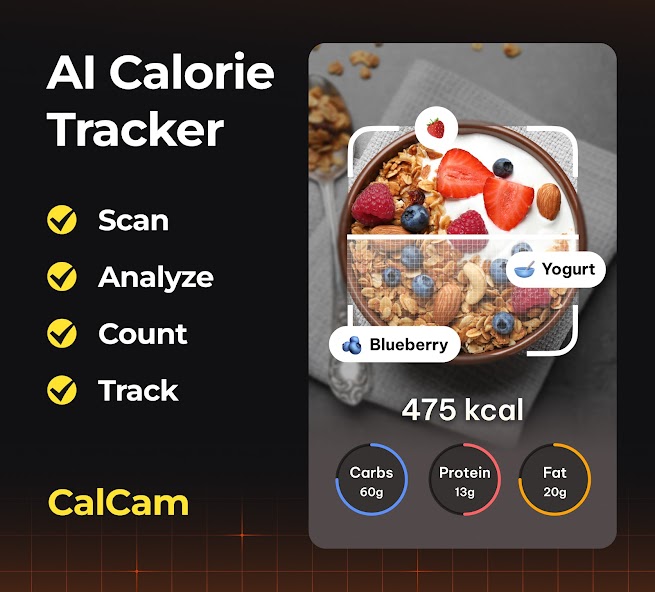 CalCam
