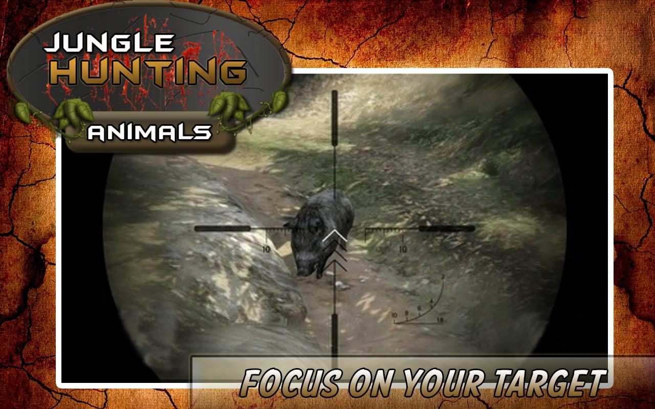 Hunting Jungle Animals