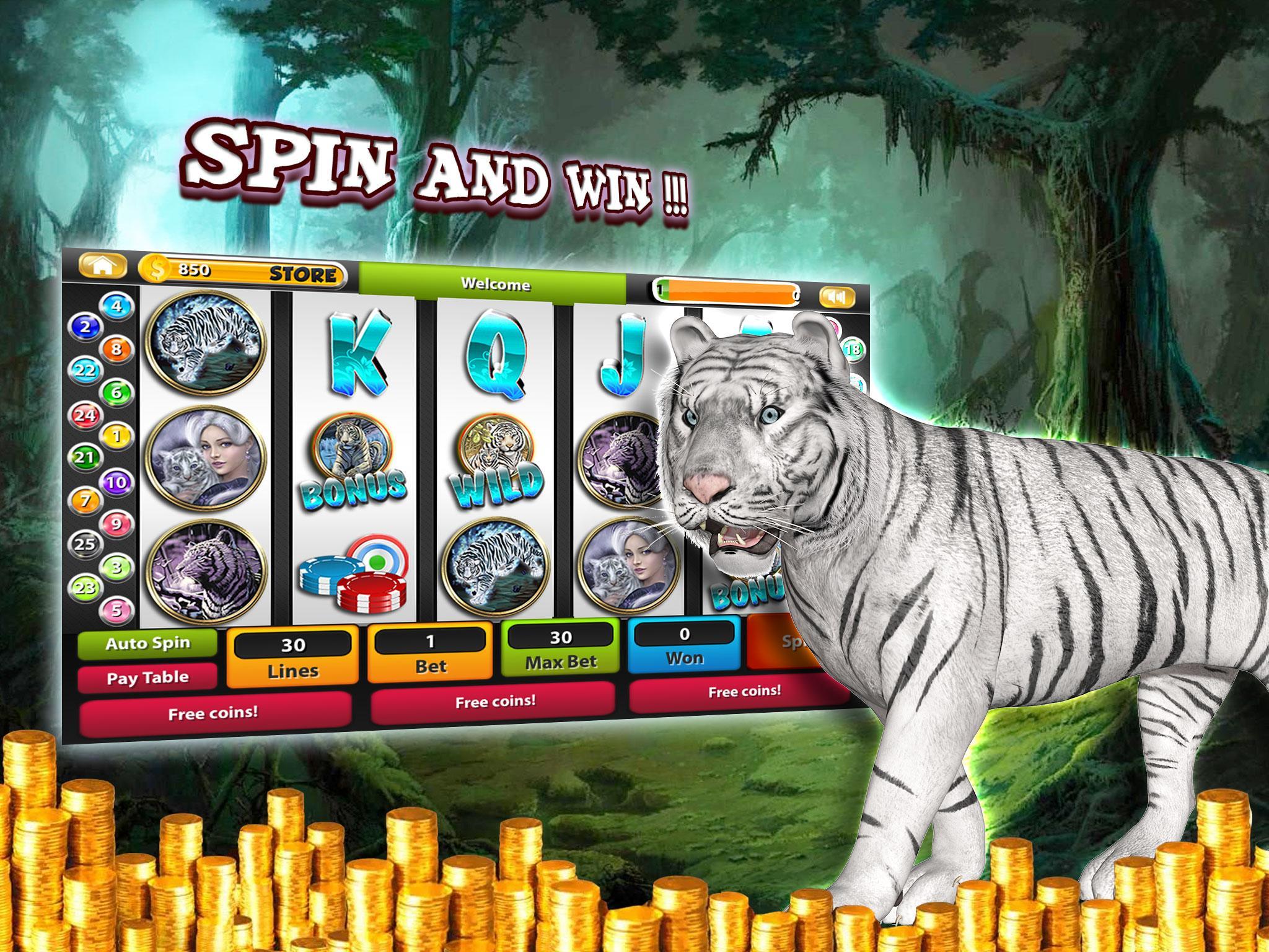 Tiger Casino Slot Machines