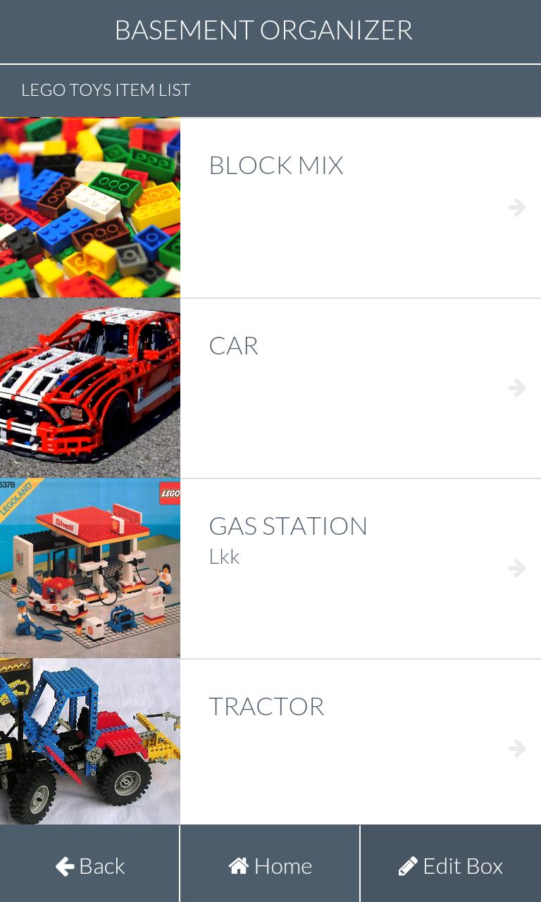 Basement - Storage Organizer