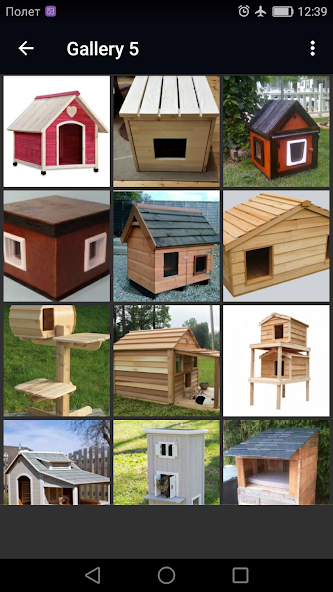 Outdoor Cat House