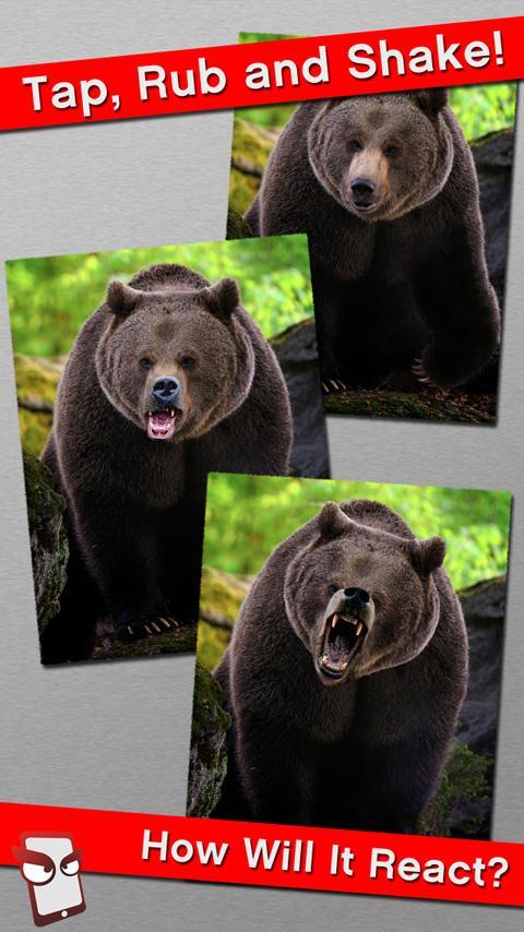 Angry Bear Free!
