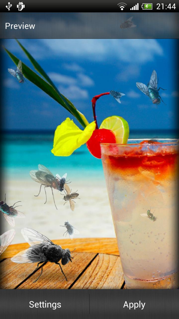 Pesky Fly Live Wallpaper