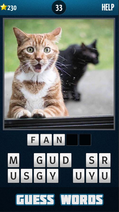 What's missing on the picture?