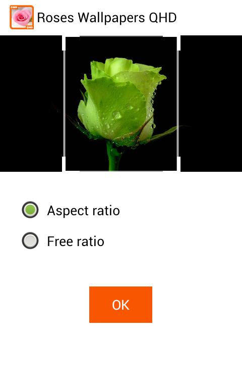 Roses Wallpapers QHD