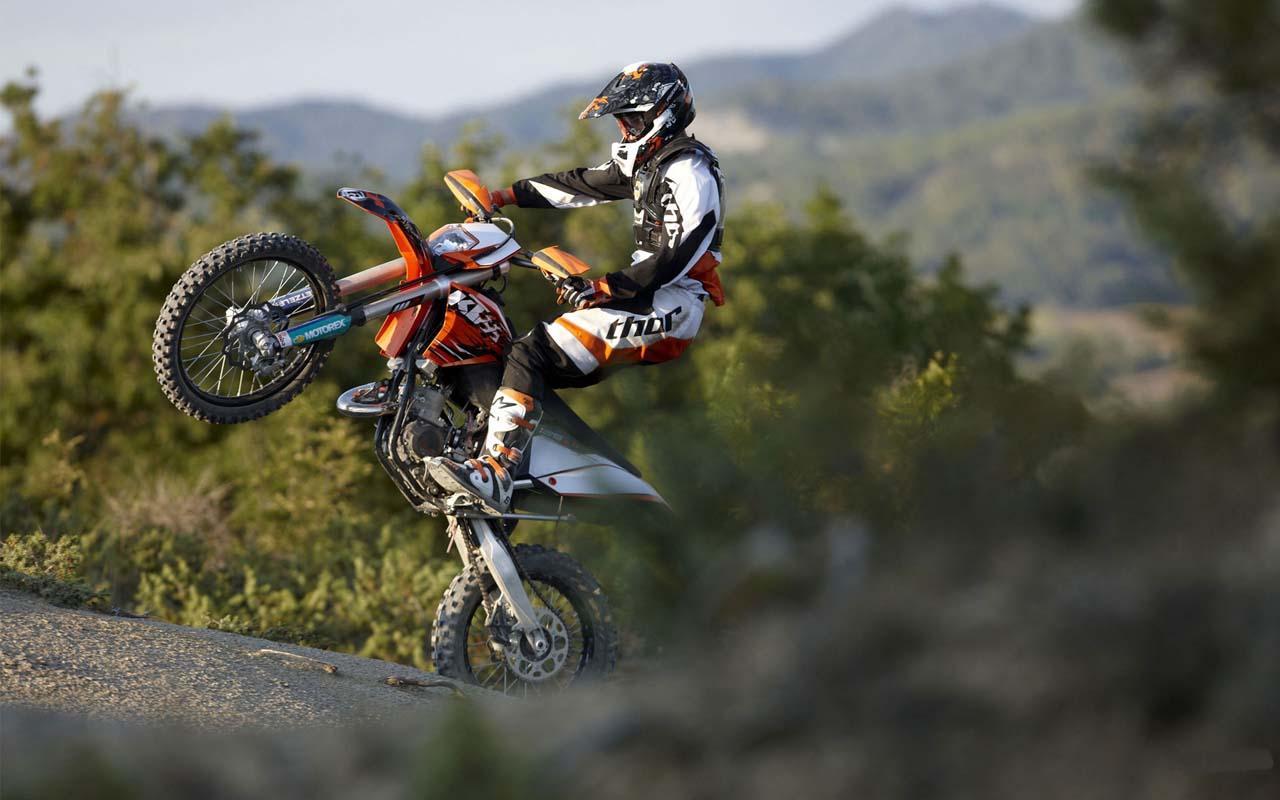 Offroad Moto Racing:3D