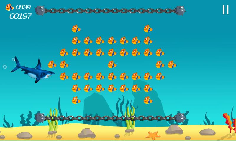 Shark Dive Adventure